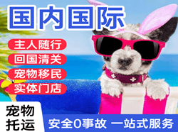 乌海航空货运国际宠物托运 【国